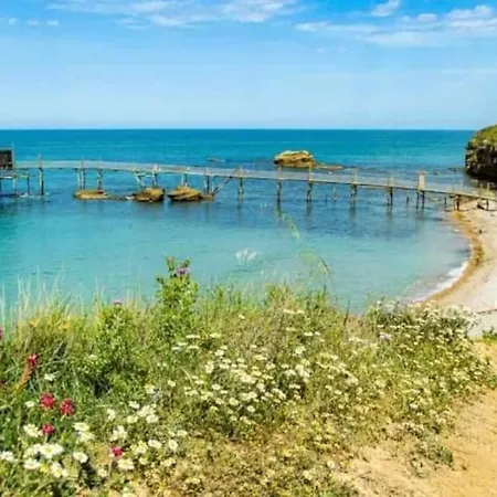 My House Vasto